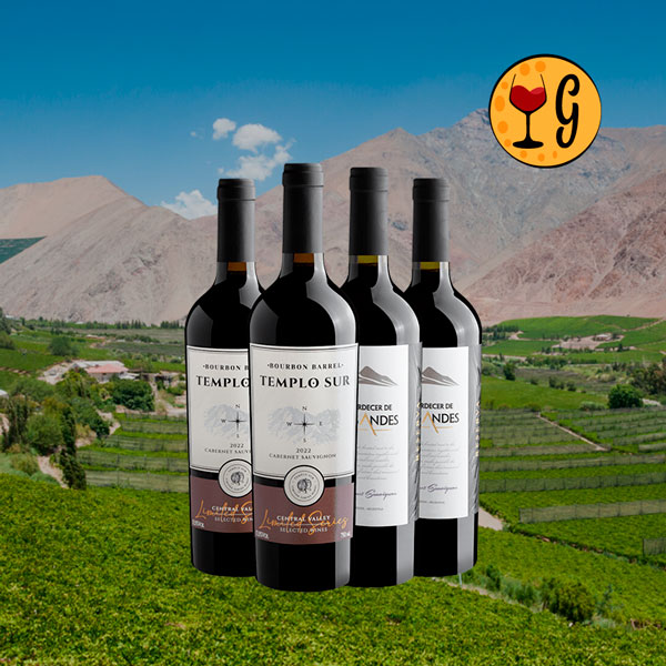 Kit Cabernets Notáveis do Novo Mundo 4 Vinhos Cabernet Sauvignon por R$ 69,90 cada – Análise Completa - Oferta